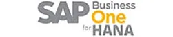 SAP one