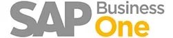 SAP business